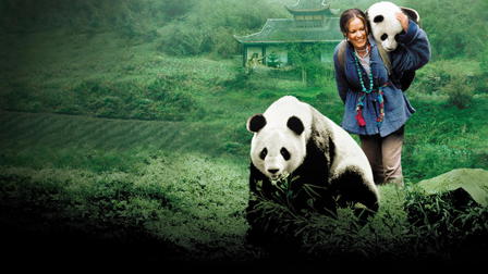 China: The Panda Adventure
