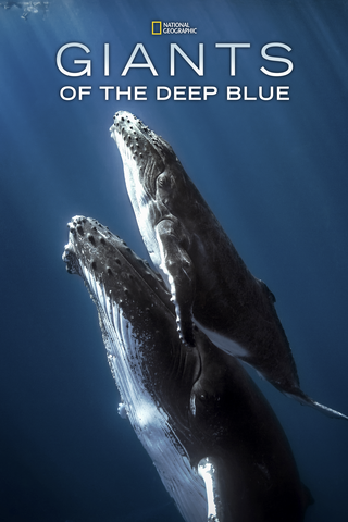 Giants of the Deep Blue