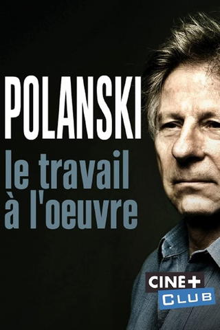 Polanski, Le Travail À L'Oeuvre