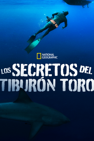 Los secretos del tiburón toro