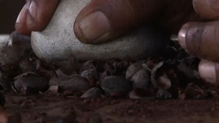The Chocolate Farmer