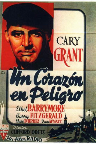 Un corazón en peligro