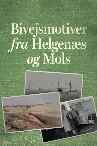 Bivejsmotiver fra Helgenæs og Mols