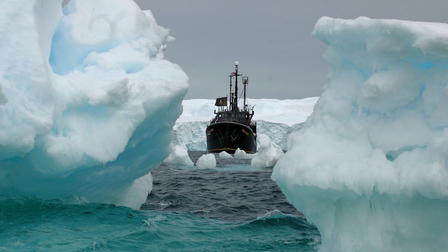 Eco-Pirate: The Story of Paul Watson