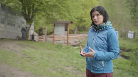 Rewilding: Back to Nature