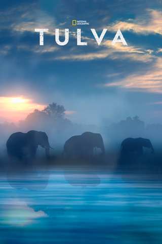 Tulva