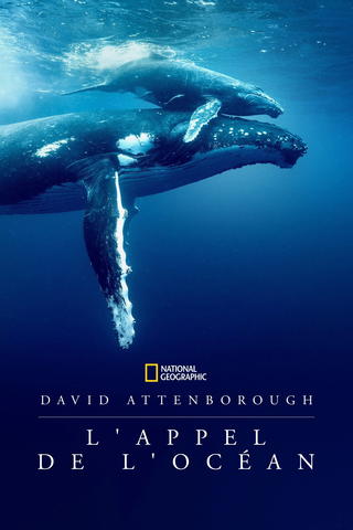 L'océan avec David Attenborough