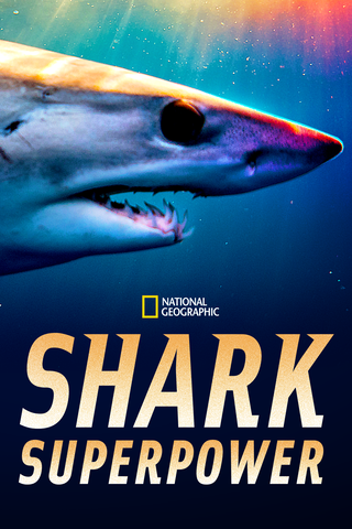 Shark Superpower