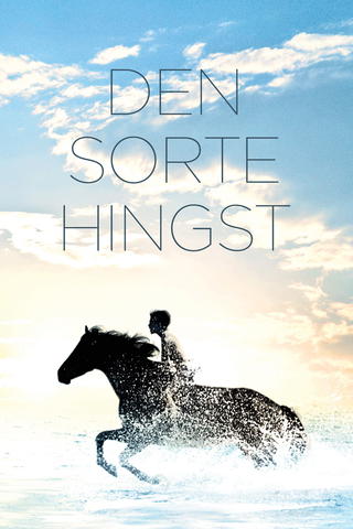 Den sorte hingst