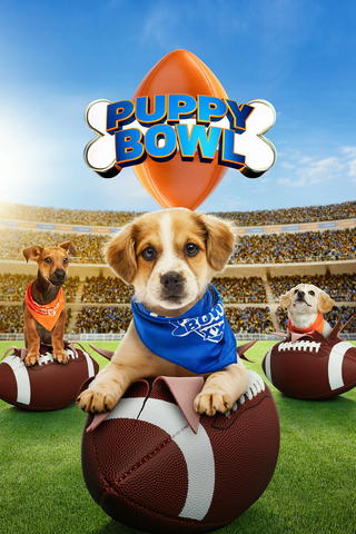 Puppy Bowl