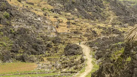 Love Market ("Vibrant Highland, Commercial Love" - Vietnam Reise / Abenteuer Dokumentation) (DEUTSCH)