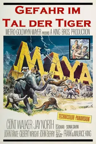 Gefahr im Tal der Tiger