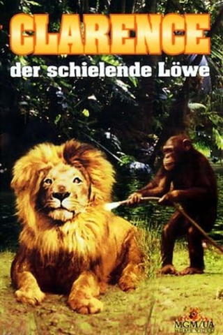 Clarence, der schielende Löwe