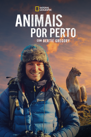 Animais Por Perto com Bertie Gregory