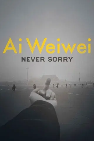 Ai Weiwei: Never sorry