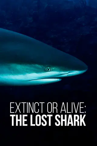 Extinct Or Alive: The Lost Shark