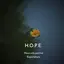 hopesmily