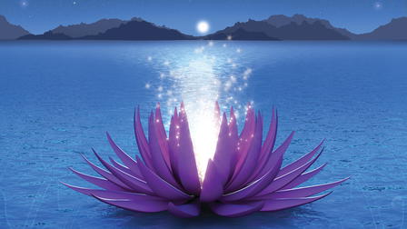 Discover the Gift
