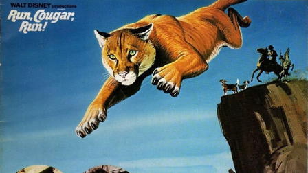 Run, Cougar, Run