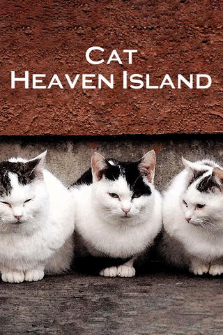 Cat Heaven Island
