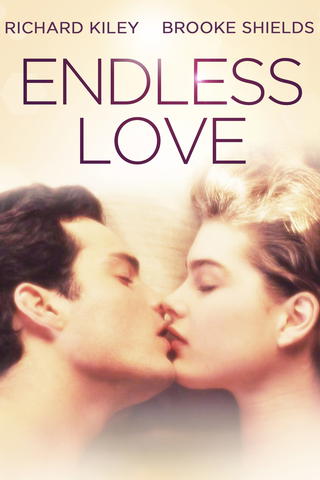 Endlose Liebe (Endless Love)