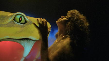 Auntie Lee's Meat Pies