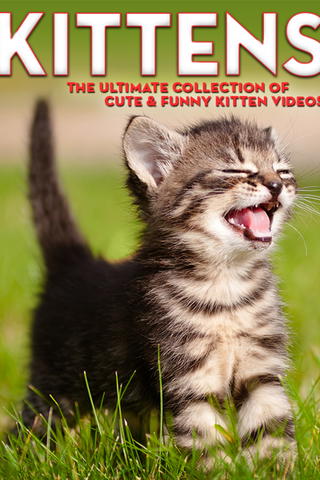 Kittens: The Ultimate Collection of Cute & Funny Kitten Videos