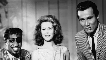 Die Rache des Johnny Cool