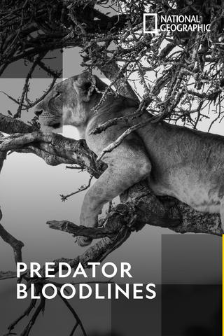 Predator Bloodlines