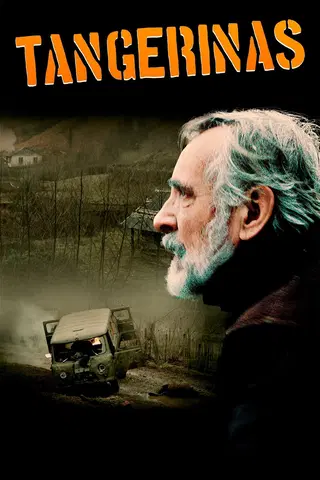 Tangerinas