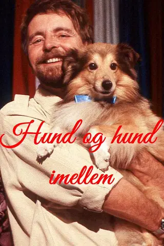 Hund og hund imellem