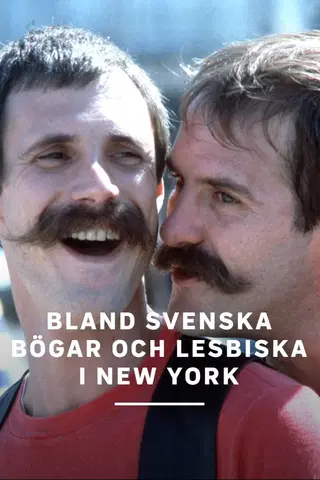 Bland svenska bögar och lesbiska i New York