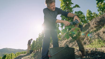 Wine Masters: Priorat Garnacha & Cariñena