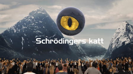 Schrödingers katt