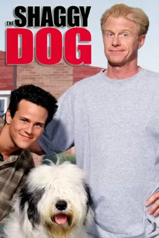 The Shaggy Dog