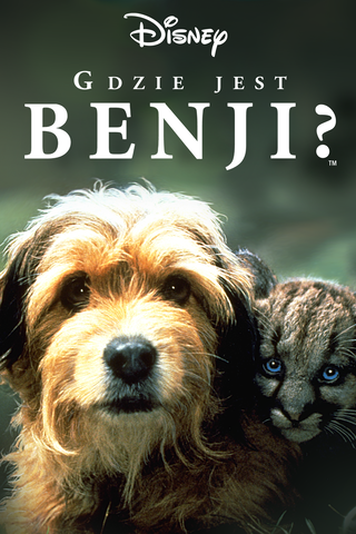 Gdzie jest Benji?