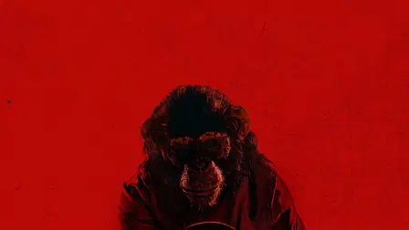 Primate