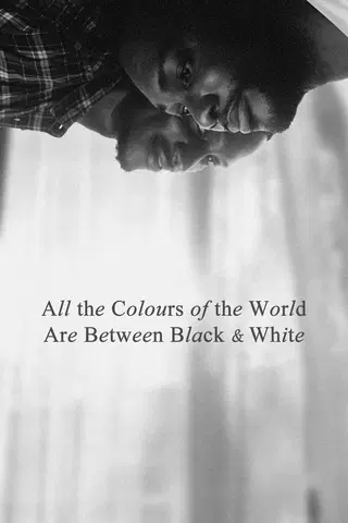 All the colours of the world are between black and white