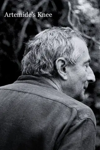 Artemide’s Knee
