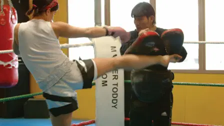 Fight Girls