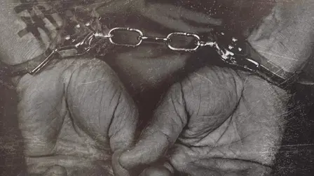 Culpado ou Inocente?