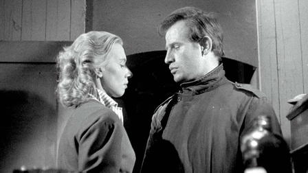 Seagulls Die in the Harbour