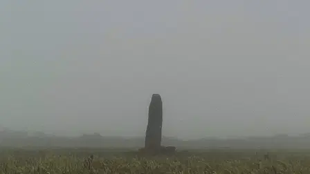 A Year in a Field