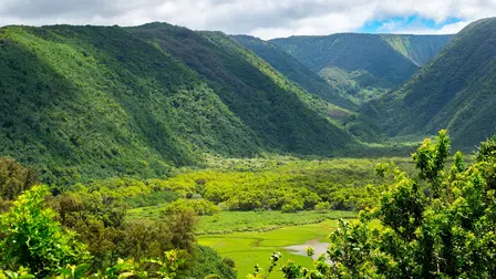 Wildes Hawaii