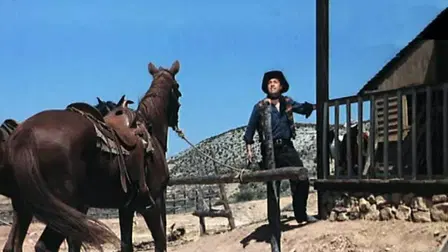 Ruthless Colt of the Gringo