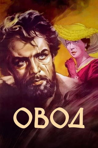 Ovod