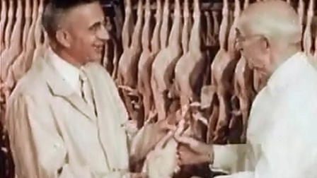 The Chicken of Tomorrow