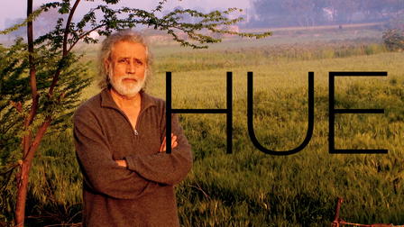 Hue: A Matter of Colour