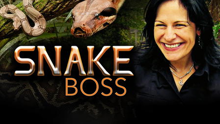 Snake Boss