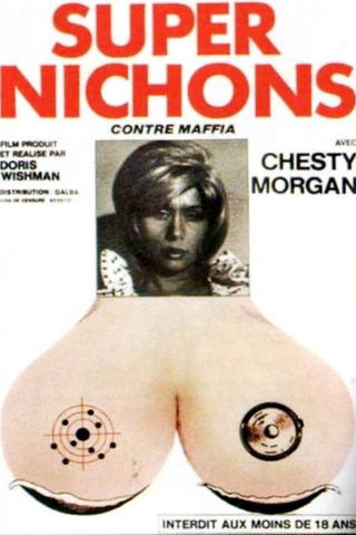 Supernichons contre mafia